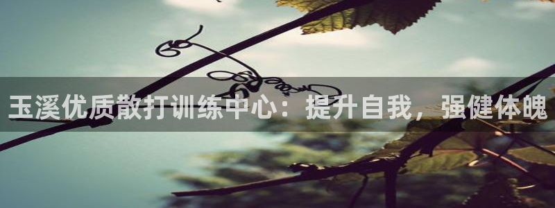 富联集团最新消息新闻：玉溪优质散打训练中心：提升自我，强健体