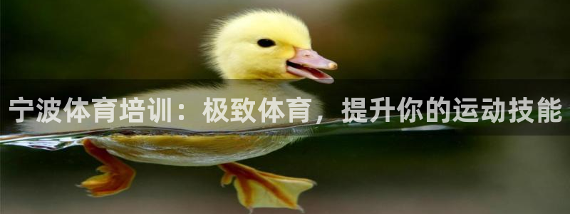 富联什么意思：宁波体育培训：极致体育，提升你的运动技能