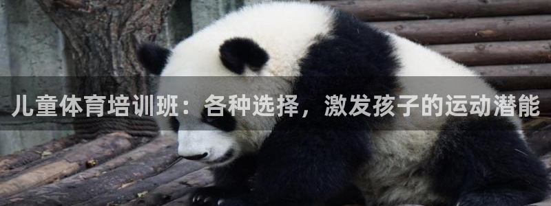 富联平台去 58534I 平台：儿童体育培训班：各种