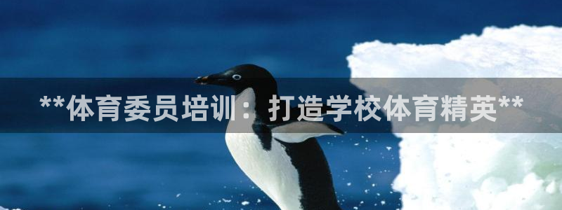 富联娱乐价7O777：**体育委员培训：打造学校体育