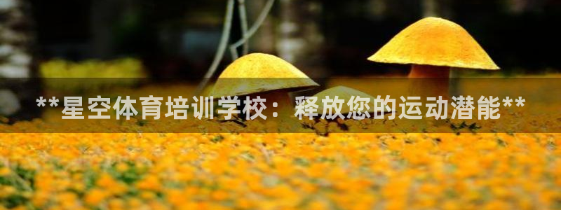 富联娱乐测速怎么样：**星空体育培训学校：释放您的运