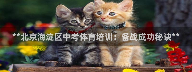 富联官方网站首页入口网址：**北京海淀区中考体育培训：备战成