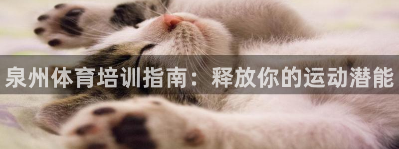富联平台易 411o31 平台：泉州体育培训指南：释