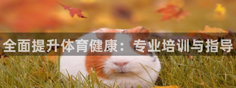富联官网登录：全面提升体育健康：专业培训与指导