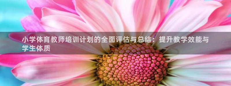 富联娱乐客户端app下载服务：小学体育教师培训计划的