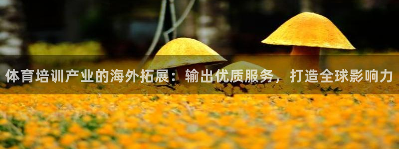 富联平台登录网址查询：体育培训产业的海外拓展：输出优