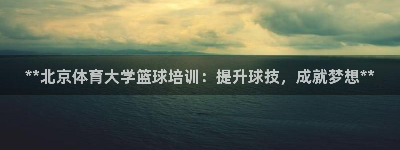 富联平台登录注册账号：**北京体育大学篮球培训：提升