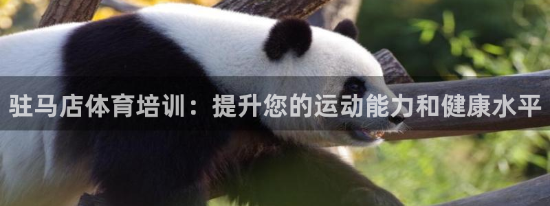 富联平台某7O777：驻马店体育培训：提升您的运动能