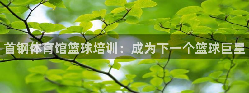 富联平台选 585341 平台：首钢体育馆篮球培训：