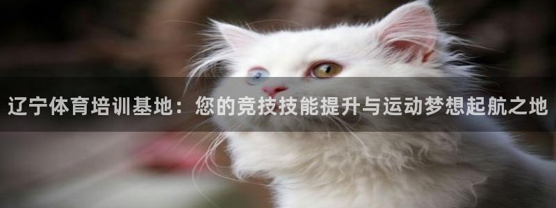 富联平台网站登录入口：辽宁体育培训基地：您的竞技技能
