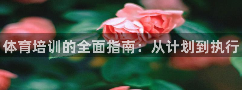 富联娱乐代理怎么做的：体育培训的全面指南：从计划到执行