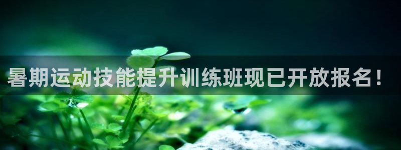 富联娱乐登录地址：暑期运动技能提升训练班现已开放报名