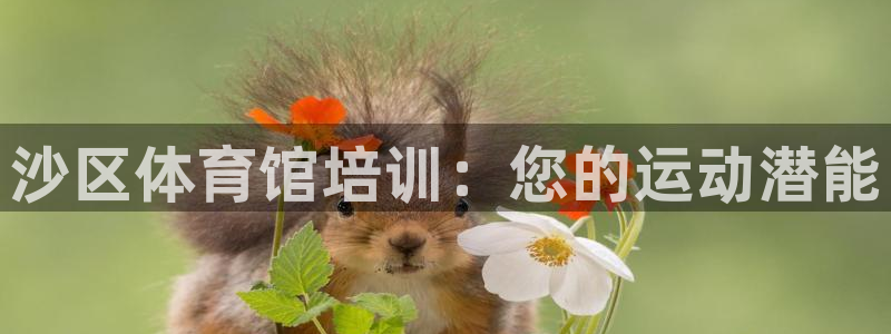 富联娱乐认 58534I 富联：沙区体育馆培训：您的