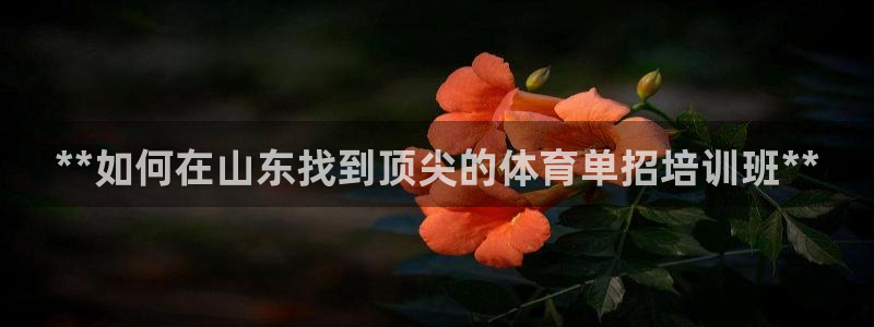 富联娱乐测速登录不上：**如何在山东找到顶尖的体育单