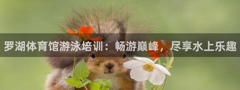 富联娱乐老板：罗湖体育馆游泳培训：畅游巅峰，尽享水上