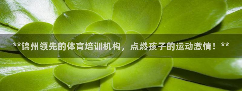 富联官方网站首页入口网址：**锦州领先的体育培训机构