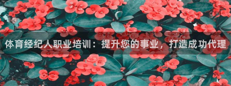 富联娱乐是骗局吗：体育经纪人职业培训：提升您的事业，