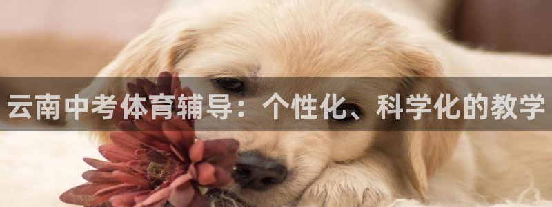 富联娱乐客服微信公众号