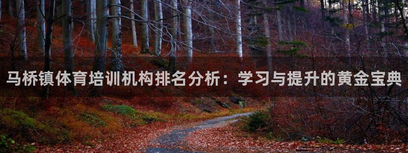 富联娱乐会员多少钱：马桥镇体育培训机构排名分析：学习