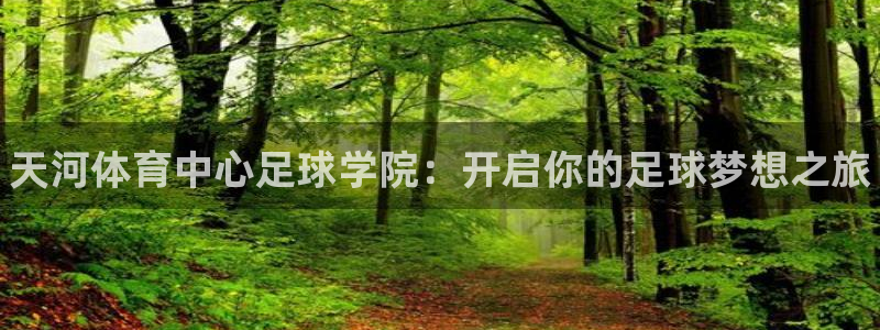富联娱乐下载：天河体育中心足球学院：开启你的足球梦想之旅