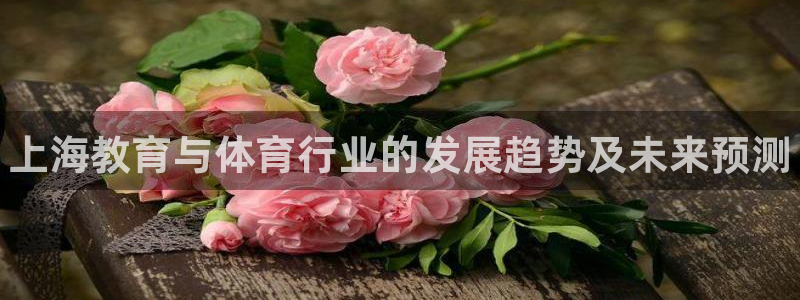 富联什么意思：上海教育与体育行业的发展趋势及未来预测