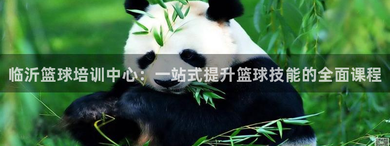 富联通讯招聘：临沂篮球培训中心：一站式提升篮球技能的全面课程