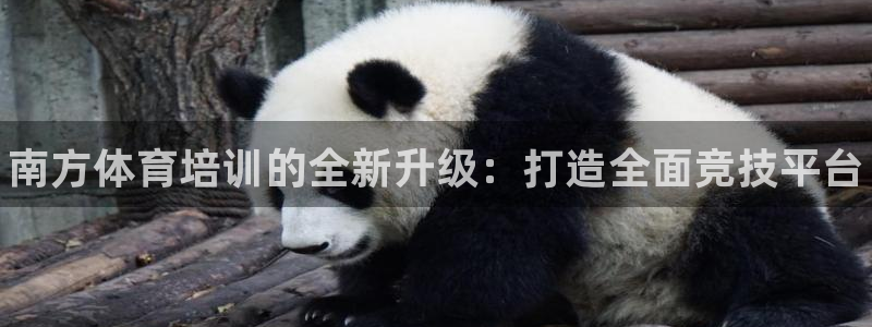 富联申购中签号：南方体育培训的全新升级：打造全面竞技