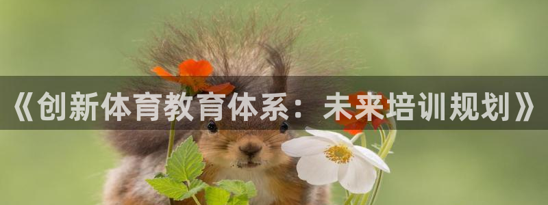 富联娱乐下载：《创新体育教育体系：未来培训规划》