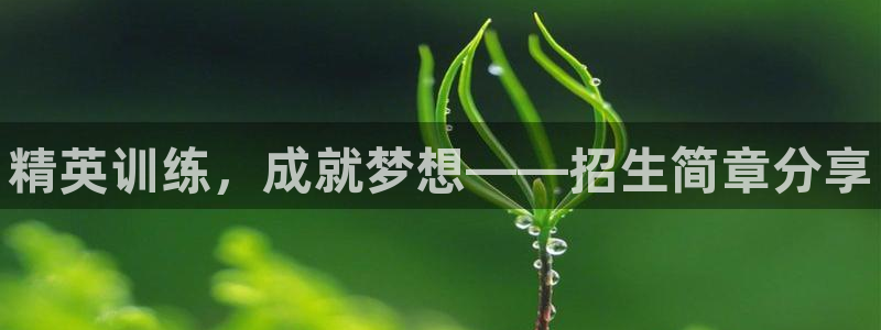 富联平台总代理是谁：精英训练，成就梦想——招生简章分享